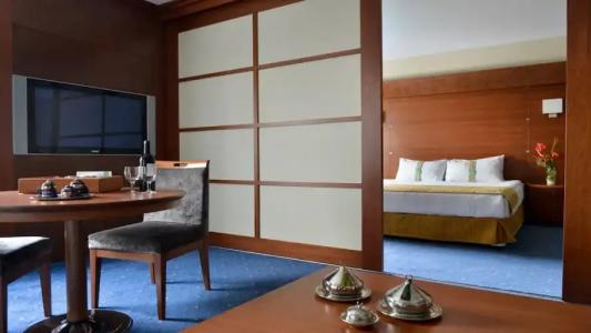 Holiday Inn Istanbul City - 97