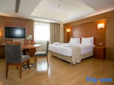 Holiday Inn Istanbul City - 104