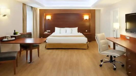 Holiday Inn Istanbul City - 98