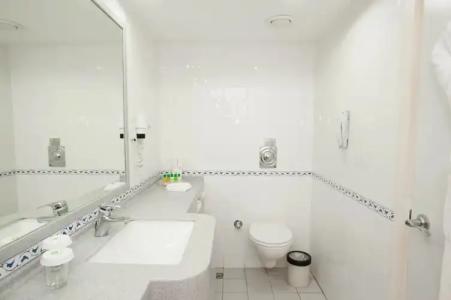 Holiday Inn Istanbul City - 49