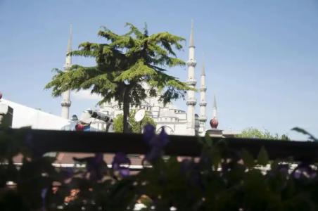 Grand Ambiance - 22