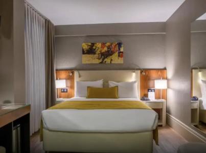 Ramada by Wyndham Istanbul Grand Bazaar - 100