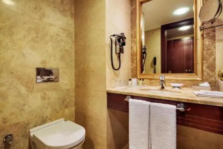 Crowne Plaza Istanbul - Old City, an IHG - 121
