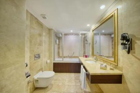 Crowne Plaza Istanbul - Old City, an IHG - 120