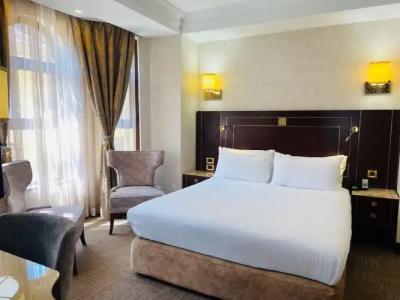 Crowne Plaza Istanbul - Old City, an IHG - 128