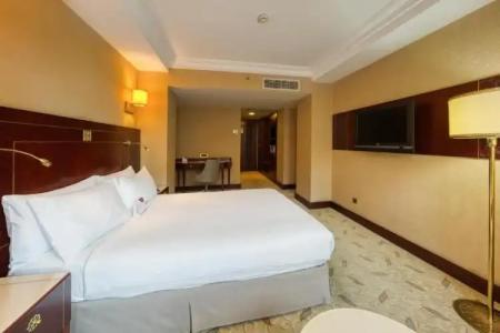 Crowne Plaza Istanbul - Old City, an IHG - 106