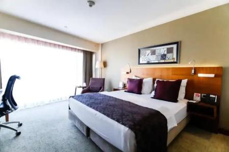 Crowne Plaza Istanbul Harbiye - 102