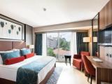 Deluxe City View Double room