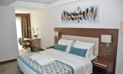 Mercure Istanbul Altunizade - 116