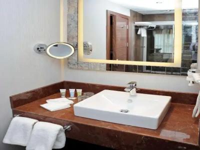 Mercure Istanbul Altunizade - 105