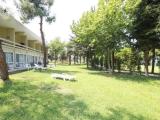 Standard Double room with garden view