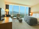 Standard Double room with mountain view