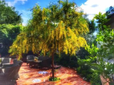 El Vino & Suites - 15