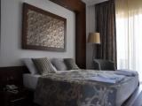 Standard Double room with balcony and with sea view