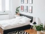 Comfort Suite