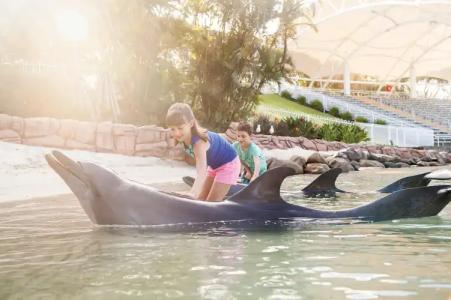 Sea World Resort - 36