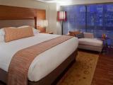 Executive Double Suite with city view