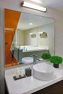 Zelos San Francisco - 43