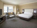 Standard Accessible room with view