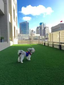 Nikko San Francisco - 26