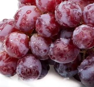 The Westin Los Angeles Airport - 7