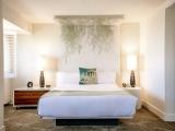 Mega Suite