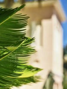 Bel-Air - Dorchester Collection - 155