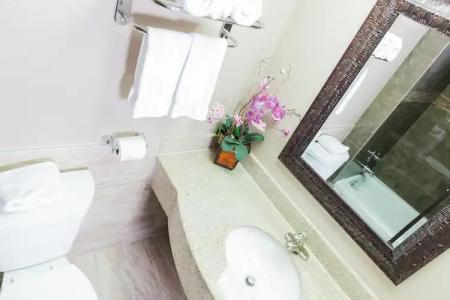 The Dixie Hollywood - 8