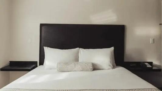 The Dixie Hollywood - 68