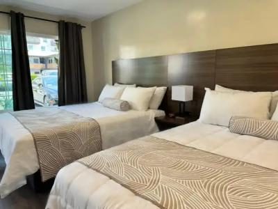 The Dixie Hollywood - 26