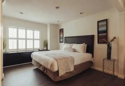 The Dixie Hollywood - 73