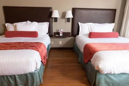 The Dixie Hollywood - 5