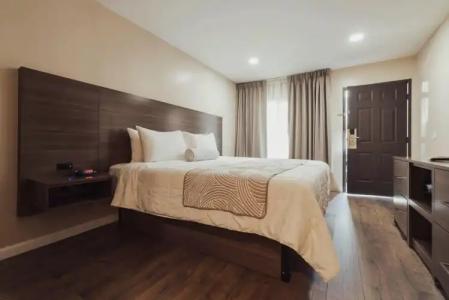 The Dixie Hollywood - 47