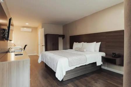 The Dixie Hollywood - 35