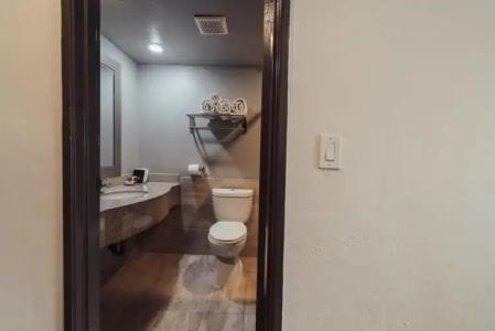 The Dixie Hollywood - 46