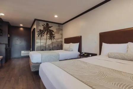 The Dixie Hollywood - 43