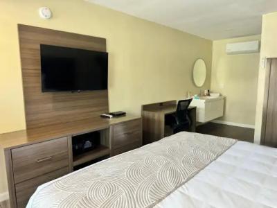 The Dixie Hollywood - 20