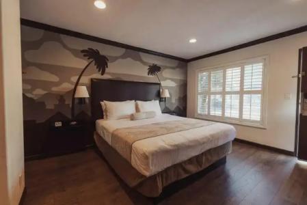 The Dixie Hollywood - 45