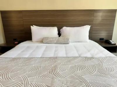 The Dixie Hollywood - 22