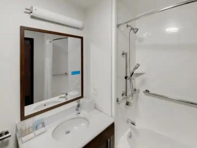 Hampton Inn Majestic Chicago Theatre District - 7