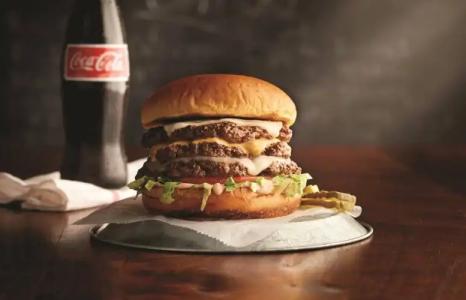 Courtyard by Marriott Chicago Downtown/River North - 13