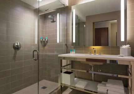 Hyatt Regency McCormick Place Chicago - 9