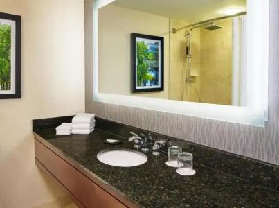 The Westin Michigan Avenue Chicago - 67