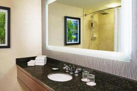 The Westin Michigan Avenue Chicago - 68