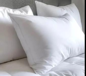 The Westin Michigan Avenue Chicago - 24