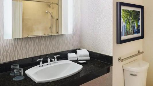 The Westin Michigan Avenue Chicago - 54