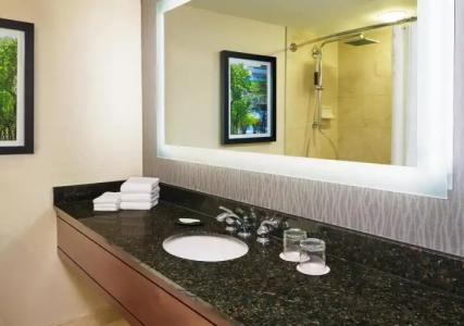 The Westin Michigan Avenue Chicago - 5