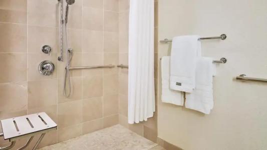 The Westin Michigan Avenue Chicago - 73