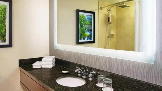 The Westin Michigan Avenue Chicago - 52