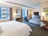 Double Studio Suite